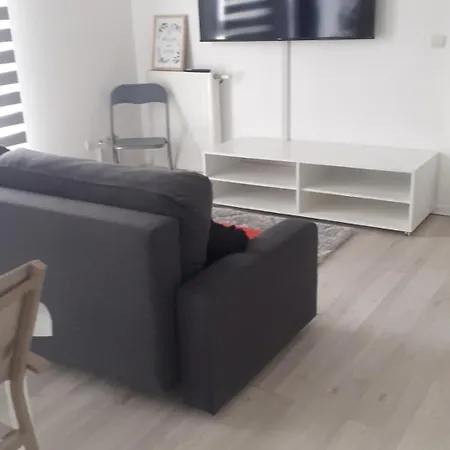 Apartment Birsinger *